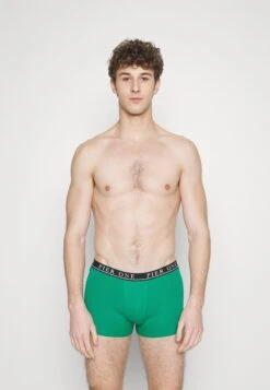 Pier One 5 PACK - Panties - Light Grey/black/green -Pier One 848816986ca24fbcb5e57aec8f8eb96c